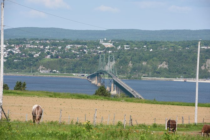 Half-Day Trip to Montmorency Falls and Ste-Anne-De-Beaupré From Quebec City - What To Expect