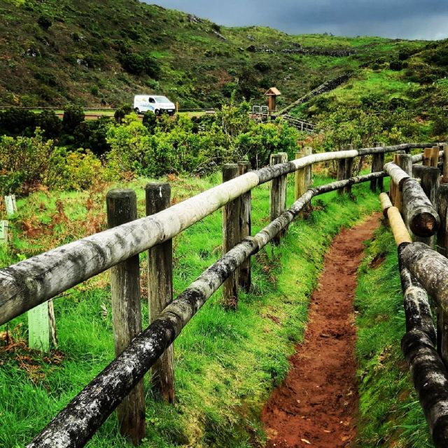Half-Day Van Tour on the Center of the Terceira Island - Tour Description
