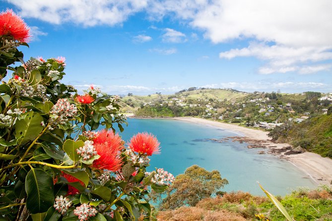 Half Day Waiheke Wine Tour - Meeting and Pickup