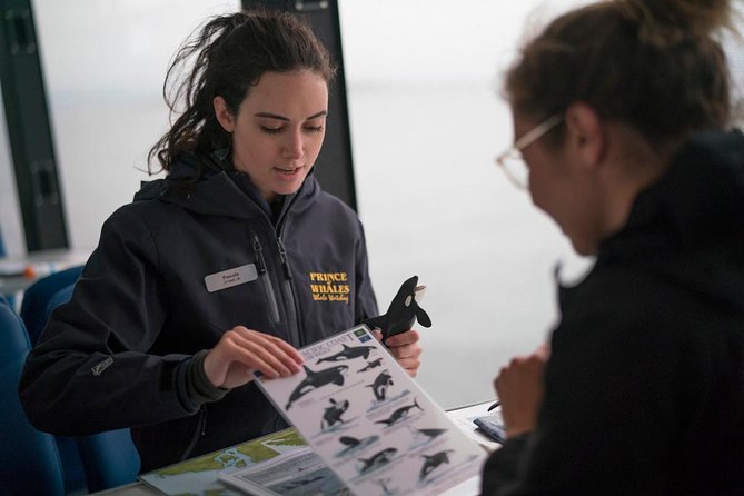 Half-Day Whale Watching Adventure From Telegraph Cove - Crew and Guides