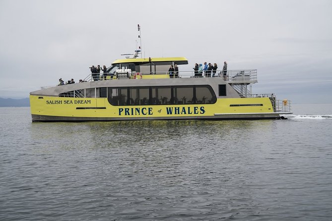 Half-Day Whale Watching Adventure From Vancouver - Wildlife Sightings