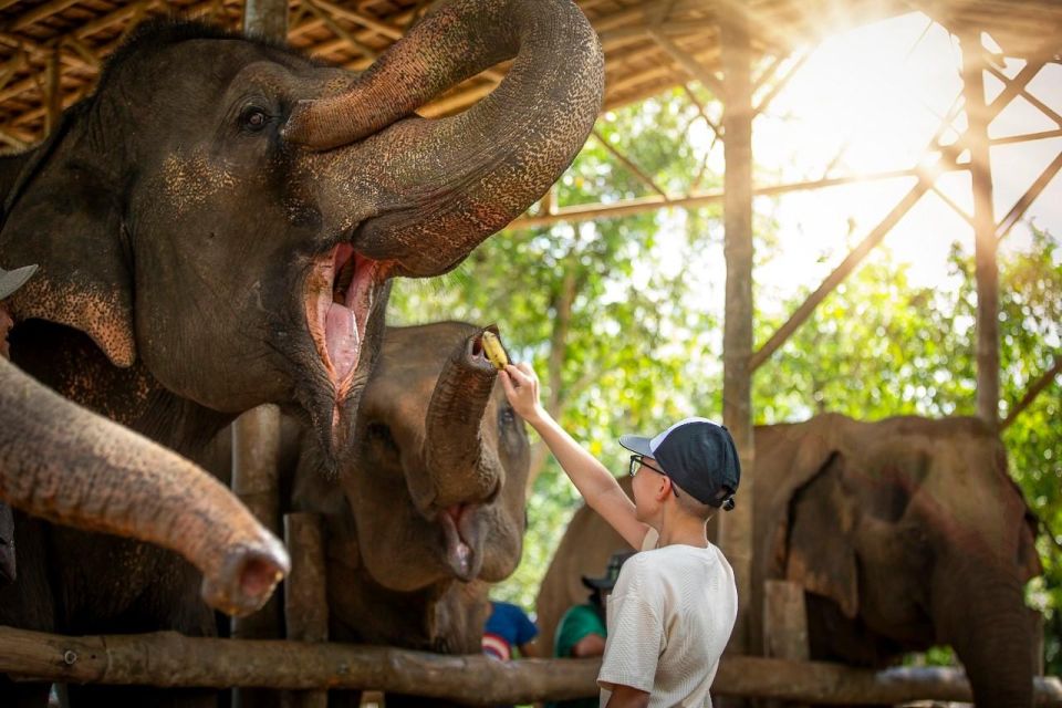 Halfday Program With Elephant on the Beach (3.30hours) - Location & Sanctuary Details