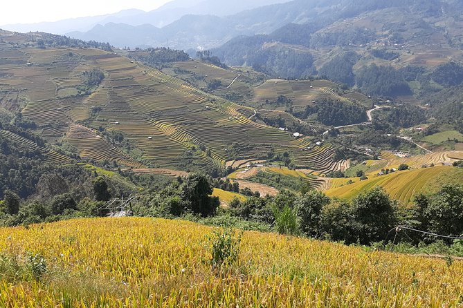 Halfday Trekking Mu Cang Chai - Cancellation Policy