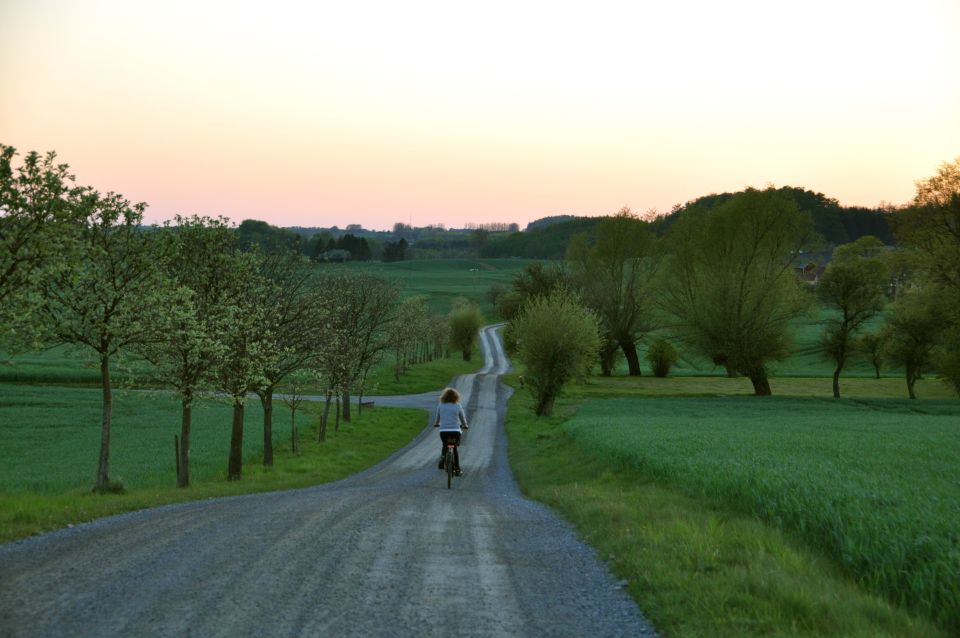 Hällåkra: Cycling or Hiking With Wine Tasting - Inclusions Provided