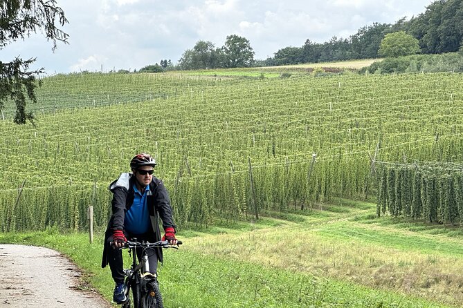 Hallertau Experience With Hop Harvest, Lunch and Hop Museum - Explore the Hop Museum