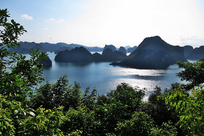 Halong Bay Cruise 2Days,1Night With Included Hanoi Transfer by Bus - Itinerary Overview