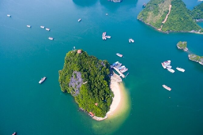 Halong Luxury Day Tour- 6 Hour Cruise - Customer Reviews Analysis