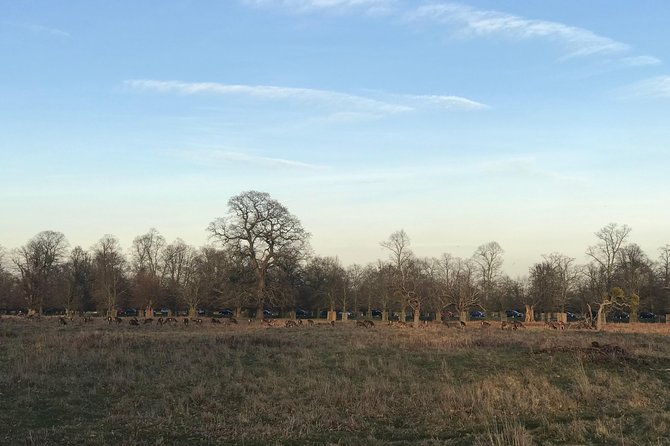 Hampton Court Palace Grounds Bike Tour - End Point & Logistics