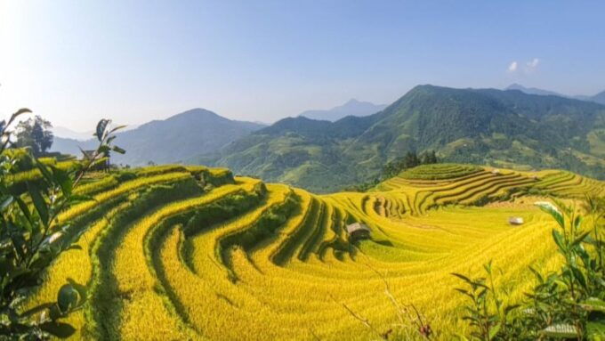 Hanoi: 2-Day Ta Van & Sapa Trek With Local Guide & Homestay - Transportation and Logistics Information