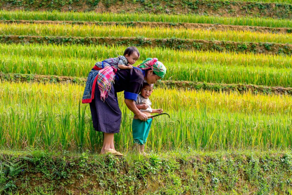 Hanoi: 3-Day Sapa Trek With Homestay - Logistics and Itinerary