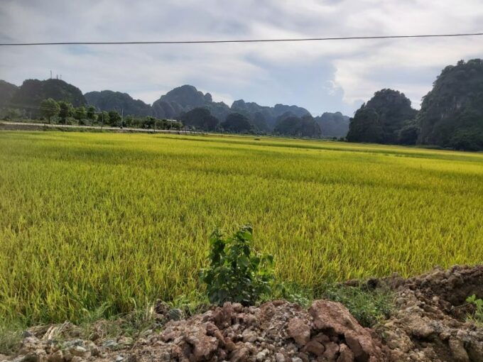 Hanoi - Hoa Lu and Tam Coc - Hanoi Full Day Tour - Inclusions