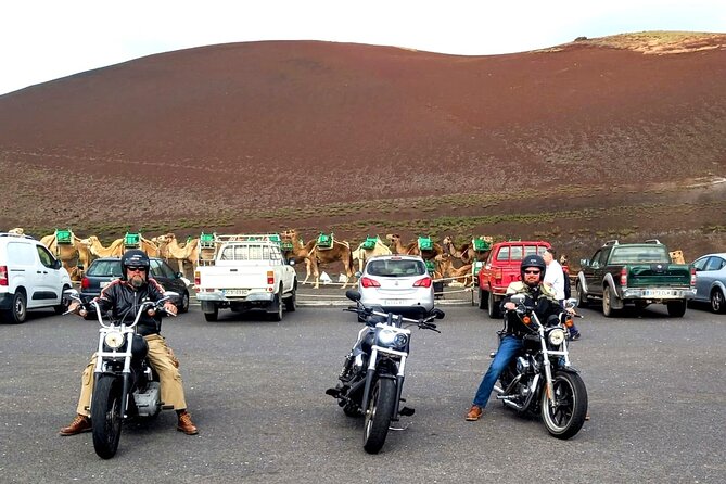 Harley Davidson Tours Lanzarote & Fuerteventura - Tour Experience
