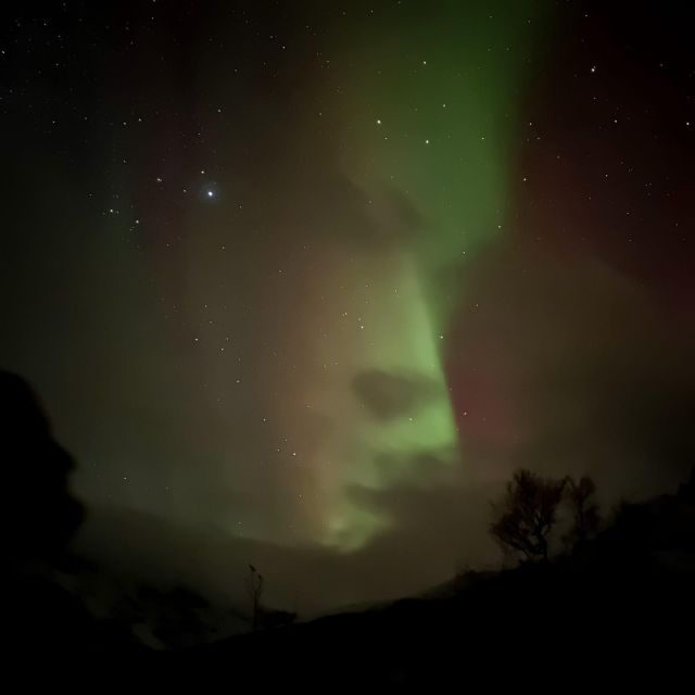 Harstad/Narvik/Tjeldsund: Northern Lights Sightseeing by Car - Duration and Language Options