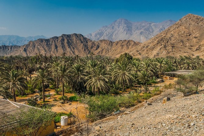 Hatta Mountain Adventure Tour - Booking Information