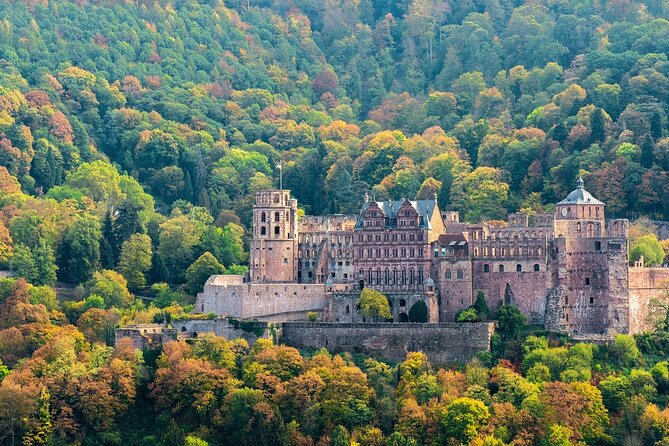 Heidelberg Half-Day Tour From Frankfurt - Reviews and Ratings