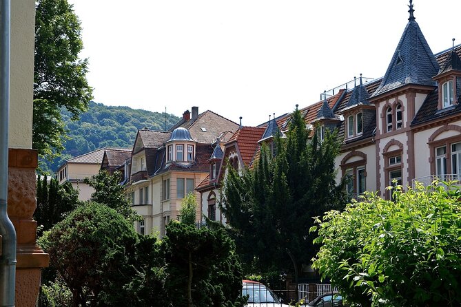 Heidelberg Private Walking Tour With A Professional Guide - Ratings and Visitor Feedback