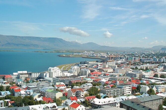 Helicopter Tour From Reykjavik: Hengill Area With at Site Landing - Site Landing Experience