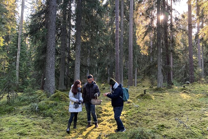 Helsinki Small-Group Mushroom-Hunting Experience - Safety and Precautions