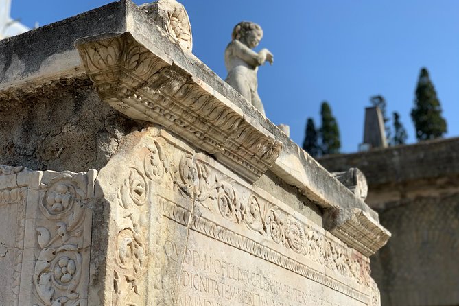 Herculaneum Guided Tour With Your Archaeologist - Reviews and Ratings