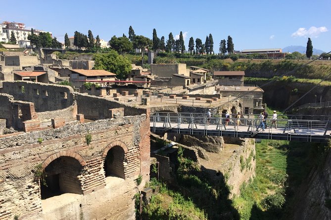 Herculaneum Private Walking Guided Tour 2 Hours - Tour Inclusions
