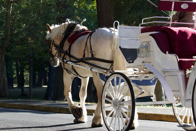 Heritage Horse-Drawn Carriage Tour of Victoria - What To Expect