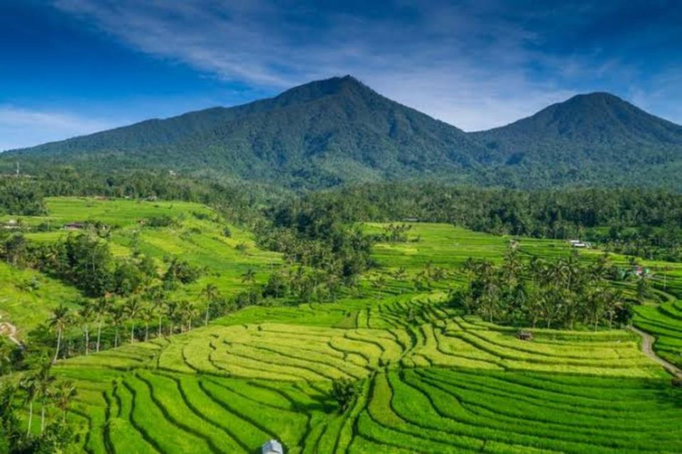 Heritage Tour; Jatiluwih,Batukaru and Tanah Lot Temple - Highlights of Batukaru Temple