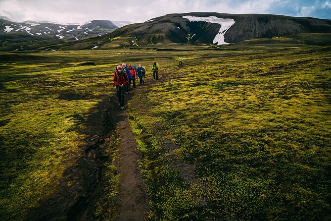 Hidden Trails of Iceland - Wildlife Encounters