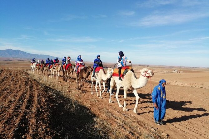 High Atlas & Desert Agafay Day Trip With a Guide - Cultural Experiences