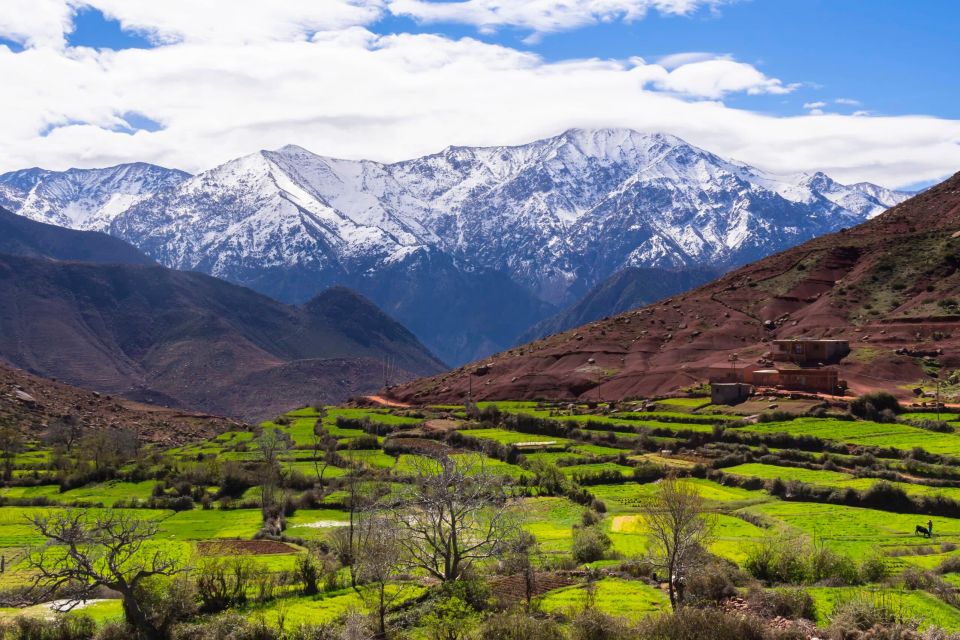 High Atlas Mountains and 5 Valleys Day Trip From Marrakech - Highlights