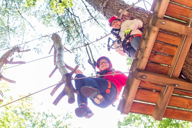 High Ropes Course Experience in Fürstenfeldbruck - Customer Feedback