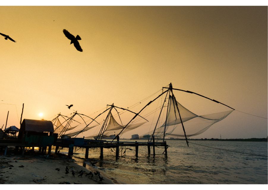 Highlights of Kochi, Guided Half-Day Tour by Car - Inclusions and Amenities Provided