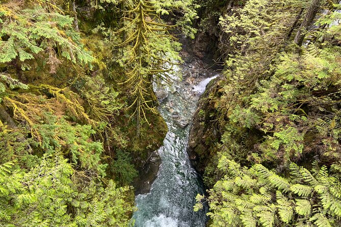 Hike Lynn Canyon and Bike Seymour Demonstration Forest - Baden-Powell Trail