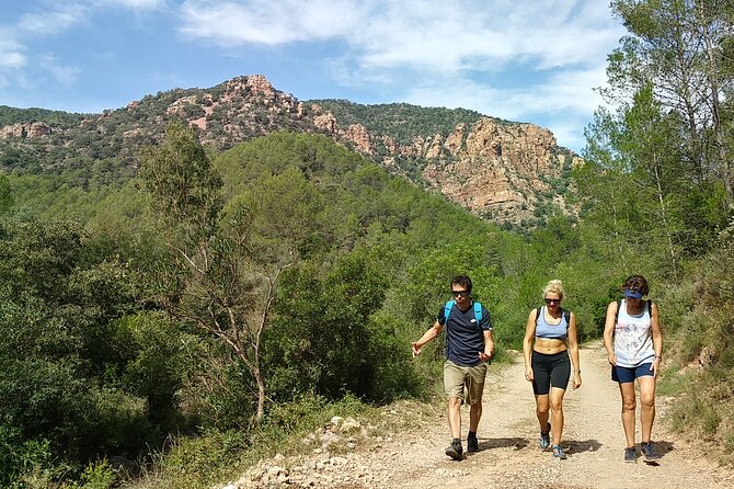 Hike to Spectacular Lookout of Órganos De Benitandús - Wildlife Spotting Opportunities