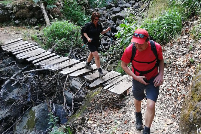 Hiking and Trekking Tours in Madeira - Logistics and Policies