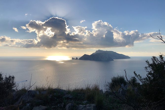 Hiking Experience - Sorrento Coast Punta Campanella Capri View - Wildlife Encounters