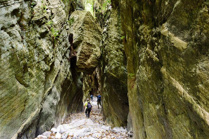 Hiking in Ridomo Gorge With Picnic - Wildlife Encounter Tips