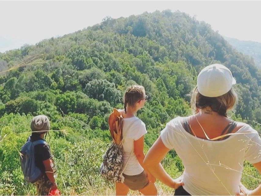 Hiking Tour Karimunjawa (Private Tour) - Inclusions