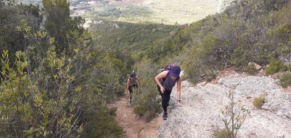 Hiking Tour to the Highest Point of Arrábida Mountain - Experience Highlights