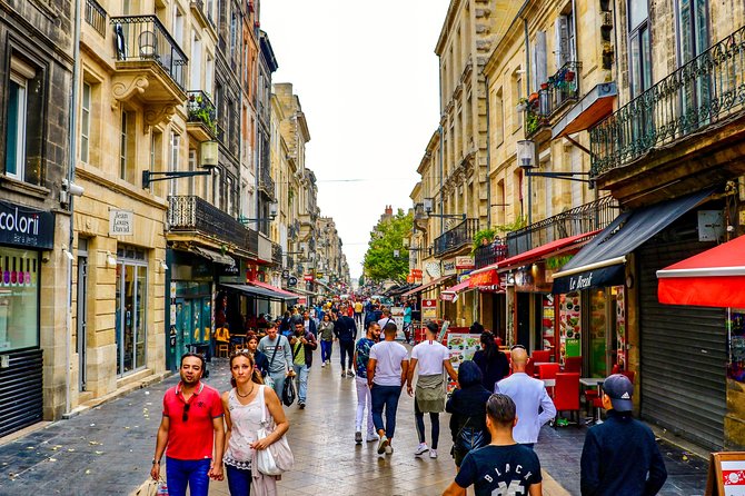 Historic Bordeaux: Exclusive Private Tour With a Local Expert - Landmarks and Cultural Highlights