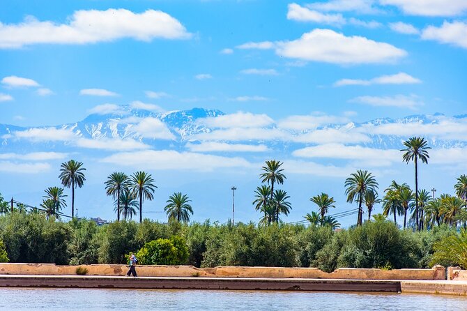 Historical and Cultural Private Tour of Marrakech and Majorelle Garden - Majorelle Garden Exploration