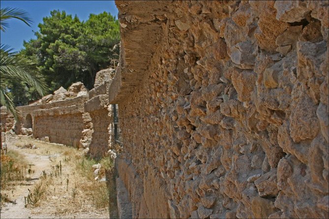 Historical Tour of Ancient Carthage - Traveler Reviews