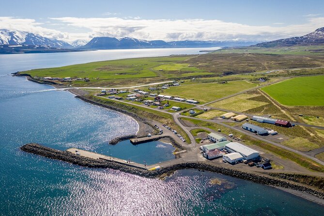 Hjalteyri Whale-Watching Tour on Traditional Oak Ship  - Akureyri - Pricing and Support