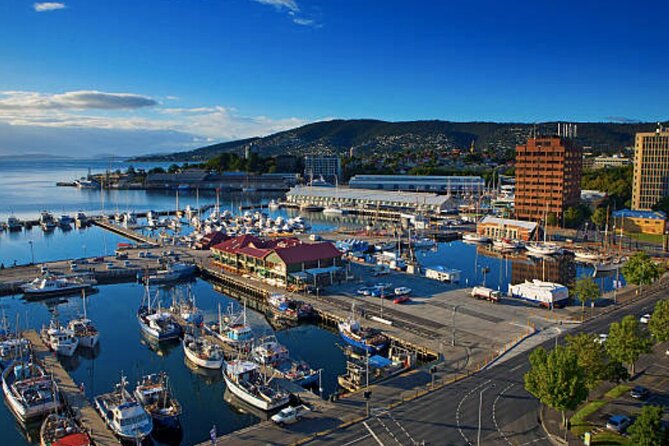 Hobart Shore Excursion: Small Group Mount Wellington 3-Hour Bike Tour - Cancellation Policy