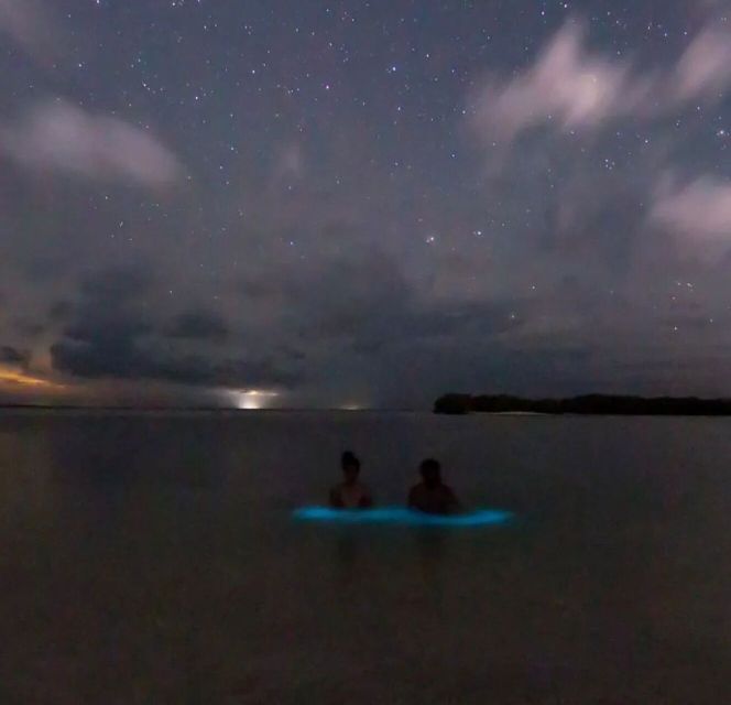 Holbox - Guided Bioluminescence Tour - Tour Highlights