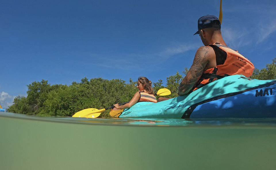 Holbox: Guided Kayaking Through Holbox's Mangroves - Activity Description