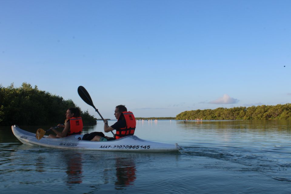 Holbox: Guided Sunrise Kayak Tour Through Mangrove Reserve - Review Summary