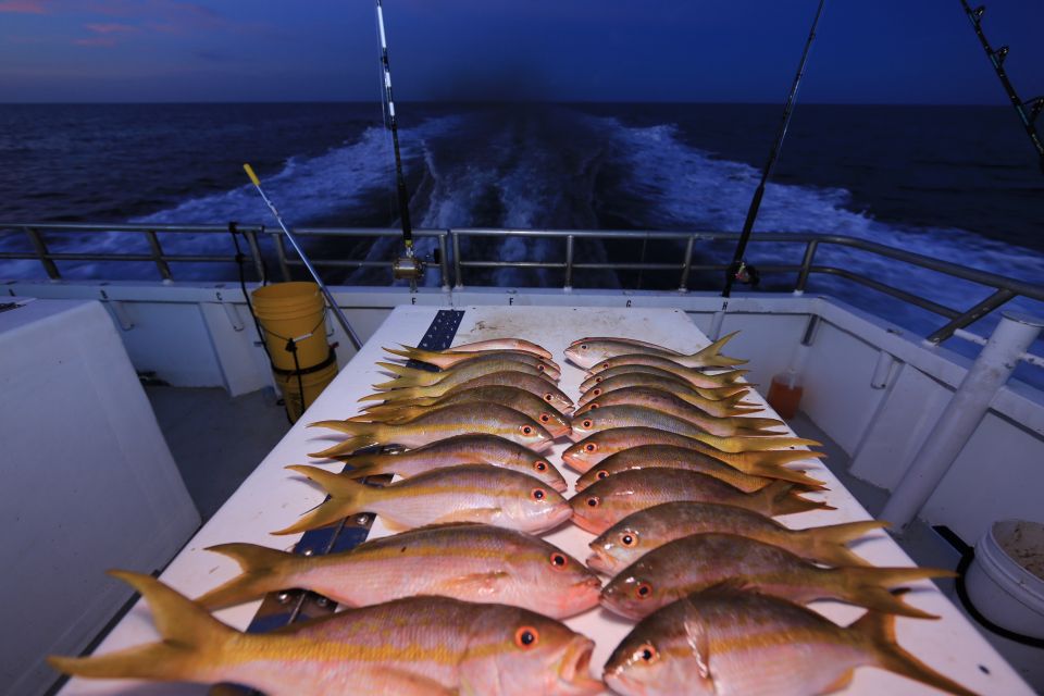 Hollywood, FL: Family-Friendly Drift Fishing Boat Trip - Highlights of the Trip