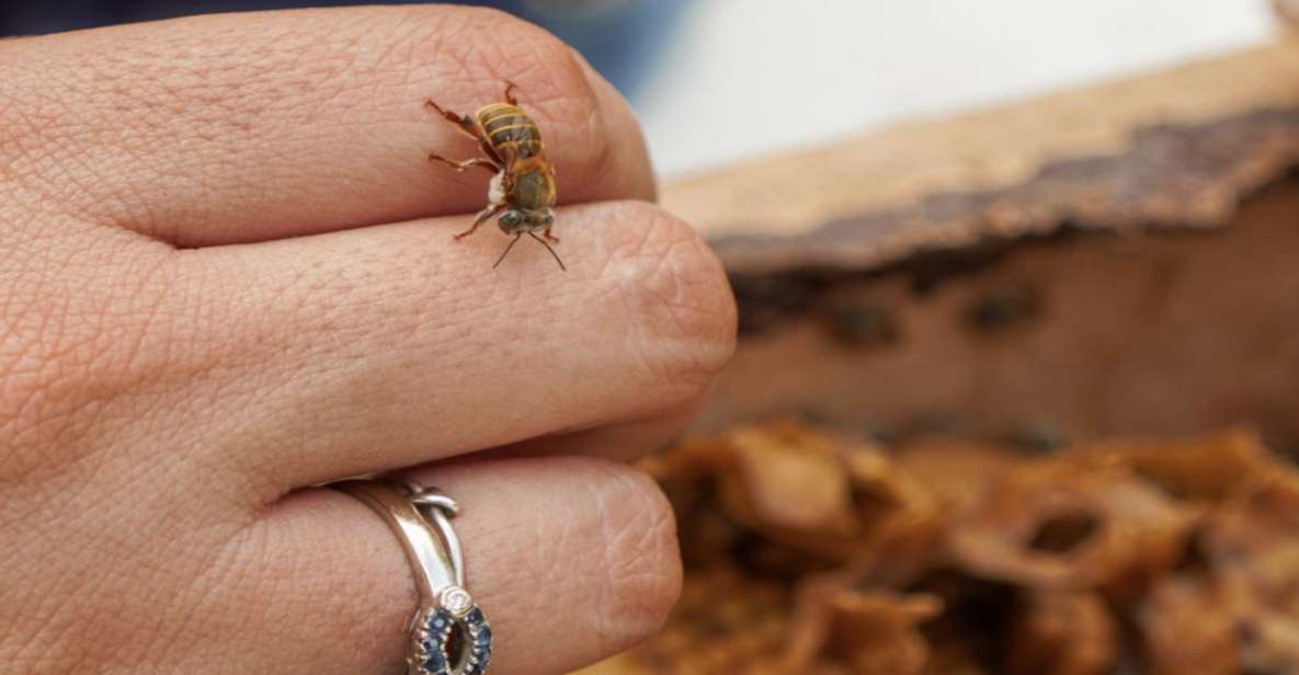 Honey Tasting Stingless Bees From Merida, Yucatan - Inclusions