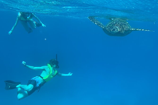 Honolulu Maunalua Bay Snorkel Tour  - Oahu - Additional Information