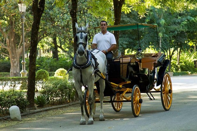 Horse and Buggy Ride in Seville With Guide - Pricing Details